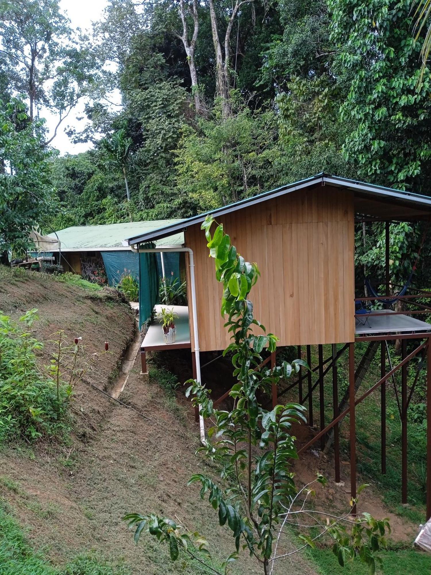 Cabanas Bajo Bosque Drake Drakes Bay Exterior foto